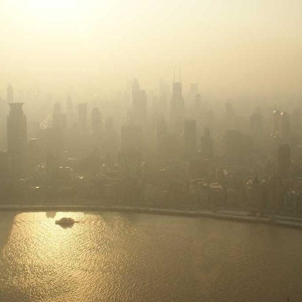 Acne Studios Scarf - Image 4