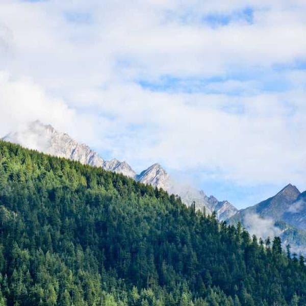 Free People Sweater Dress - Image 2