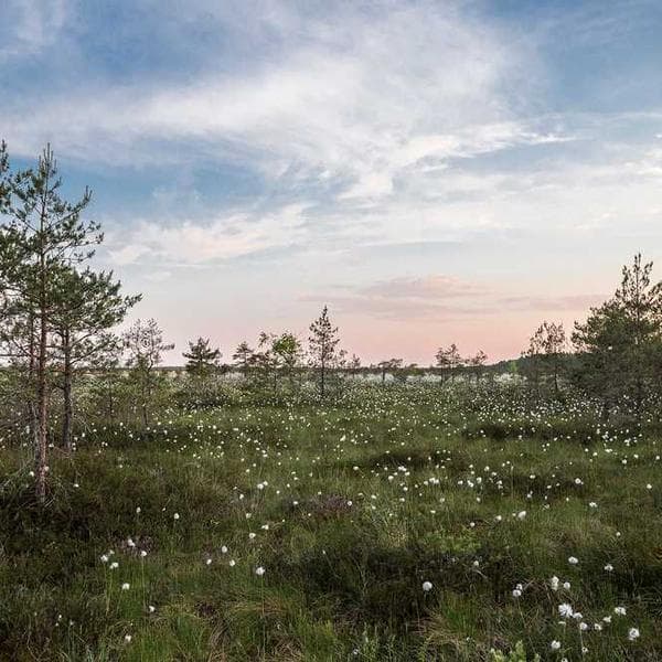 Gap Denim Jacket - Image 3