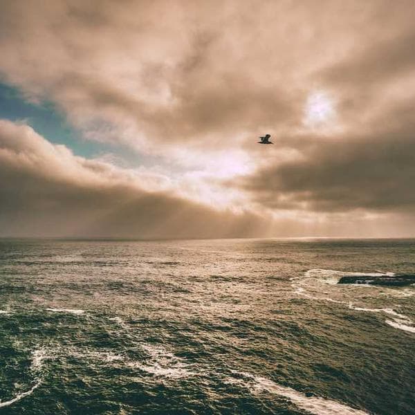 Levi's 501 High Rise Jeans - Image 3